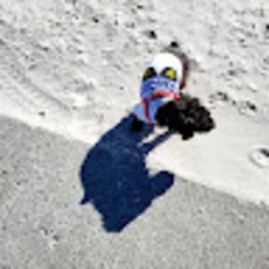 Meet your Posher, Debbie